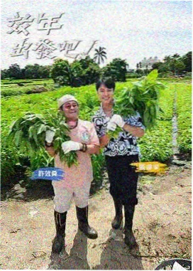tadedy电影网片单导演请留步